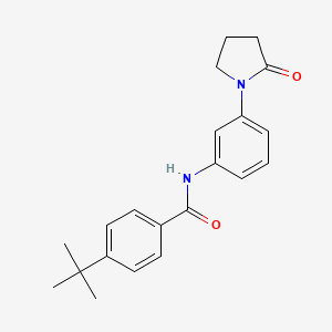 molecular formula C21H24N2O2 B2698422 4-叔丁基-N-[3-(2-氧代吡咯烷-1-基)苯基]苯甲酰胺 CAS No. 923103-70-2