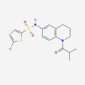 molecular formula C17H19ClN2O3S2 B2698502 5-氯-N-(1-异丁酰-1,2,3,4-四氢喹啉-6-基)噻吩-2-磺酰胺 CAS No. 1005293-49-1