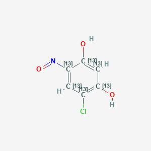 B026993 4-Chloro-6-nitrosoresorcinol-13C6 CAS No. 953390-33-5