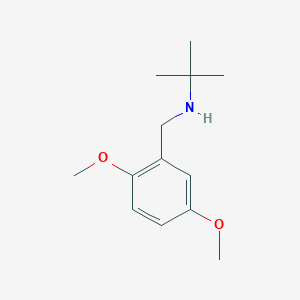 molecular formula C13H21NO2 B2700214 叔丁基[(2,5-二甲氧基苯基)甲基]胺 CAS No. 953891-36-6