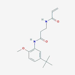 molecular formula C17H24N2O3 B2700571 N-(5-Tert-butyl-2-methoxyphenyl)-3-(prop-2-enoylamino)propanamide CAS No. 2202376-29-0