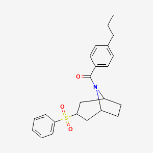 molecular formula C23H27NO3S B2700712 ((1R,5S)-3-(phenylsulfonyl)-8-azabicyclo[3.2.1]octan-8-yl)(4-propylphenyl)methanone CAS No. 1797630-24-0