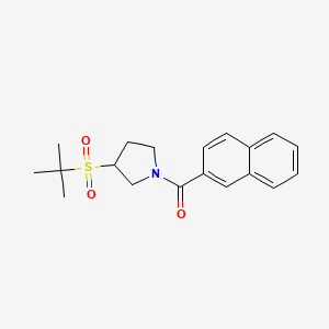 molecular formula C19H23NO3S B2700980 (3-(Tert-butylsulfonyl)pyrrolidin-1-yl)(naphthalen-2-yl)methanone CAS No. 1797073-26-7