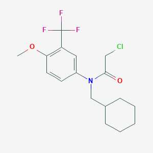 molecular formula C17H21ClF3NO2 B2703035 2-Chloro-N-(cyclohexylmethyl)-N-[4-methoxy-3-(trifluoromethyl)phenyl]acetamide CAS No. 1397201-71-6
