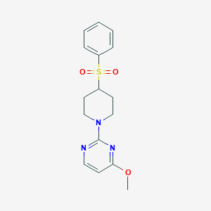 molecular formula C16H19N3O3S B2703252 2-[4-(Benzenesulfonyl)piperidin-1-yl]-4-methoxypyrimidine CAS No. 2380095-92-9