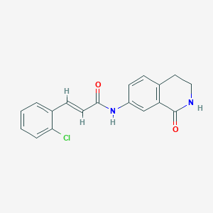 (E)-3-(2-chlorophenyl)-N-(1-oxo-1,2,3,4-tetrahydroisoquinolin-7-yl)acrylamide