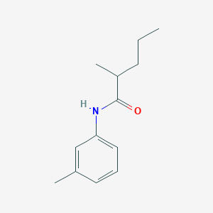molecular formula C13H19NO B270341 2-methyl-N-(3-methylphenyl)pentanamide 