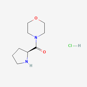 molecular formula C9H17ClN2O2 B2704229 (S)-Morpholino(pyrrolidin-2-yl)methanone CAS No. 1001207-72-2; 1096446-01-3; 73094-26-5