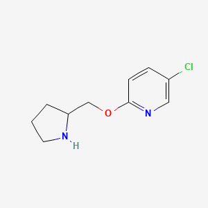 molecular formula C10H13ClN2O B2704741 5-Chloro-2-[(pyrrolidin-2-yl)methoxy]pyridine CAS No. 1250146-13-4