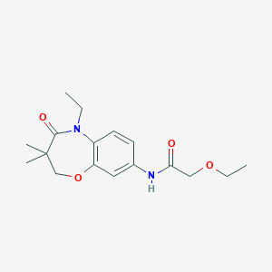 molecular formula C17H24N2O4 B2705262 2-ethoxy-N-(5-ethyl-3,3-dimethyl-4-oxo-2,3,4,5-tetrahydrobenzo[b][1,4]oxazepin-8-yl)acetamide CAS No. 921793-67-1