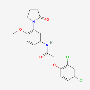 2-(2,4-dichlorophenoxy)-N-[4-methoxy-3-(2-oxopyrrolidin-1-yl)phenyl]acetamide