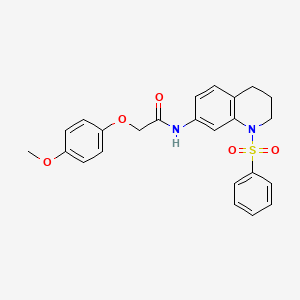 molecular formula C24H24N2O5S B2706125 2-(4-methoxyphenoxy)-N-(1-(phenylsulfonyl)-1,2,3,4-tetrahydroquinolin-7-yl)acetamide CAS No. 1005301-91-6