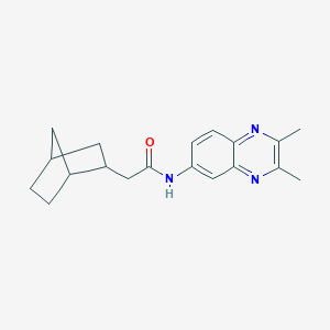 molecular formula C19H23N3O B270614 2-bicyclo[2.2.1]hept-2-yl-N-(2,3-dimethylquinoxalin-6-yl)acetamide 