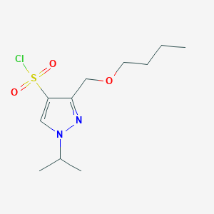 molecular formula C11H19ClN2O3S B2706221 3-(butoxymethyl)-1-isopropyl-1H-pyrazole-4-sulfonyl chloride CAS No. 1856051-37-0