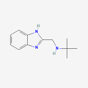 molecular formula C12H17N3 B2706552 N-(1H-benzimidazol-2-ylmethyl)-2-methylpropan-2-amine CAS No. 66551-10-8