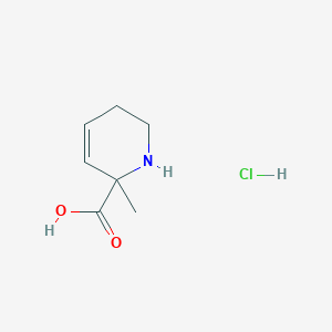 6-Methyl-2,3-dihydro-1H-pyridine-6-carboxylic acid;hydrochloride