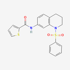 N-[1-(benzenesulfonyl)-3,4-dihydro-2H-quinolin-7-yl]thiophene-2-carboxamide