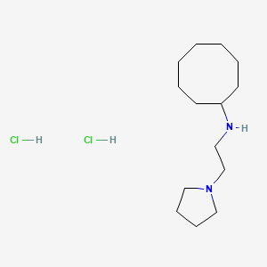 N-(2-Pyrrolidin-1-ylethyl)cyclooctanamine;dihydrochloride