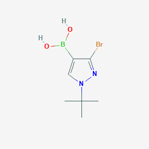 3-Bromo-1-tert-butylpyrazole-4-boronic acid