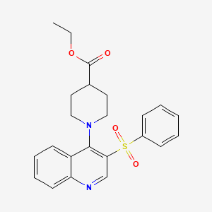 Ethyl 1-(3-(phenylsulfonyl)quinolin-4-yl)piperidine-4-carboxylate