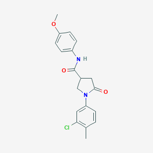 molecular formula C19H19ClN2O3 B271207 1-(3-chloro-4-methylphenyl)-N-(4-methoxyphenyl)-5-oxopyrrolidine-3-carboxamide 