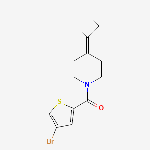 (4-Bromothiophen-2-yl)-(4-cyclobutylidenepiperidin-1-yl)methanone