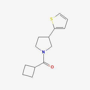 molecular formula C13H17NOS B2713302 环丁基(3-(噻吩-2-基)吡咯啉-1-基)甲酮 CAS No. 2320601-82-7