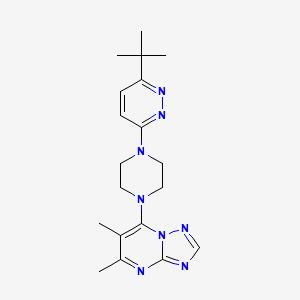 molecular formula C19H26N8 B2713768 7-[4-(6-Tert-butylpyridazin-3-yl)piperazin-1-yl]-5,6-dimethyl-[1,2,4]triazolo[1,5-a]pyrimidine CAS No. 2380172-17-6