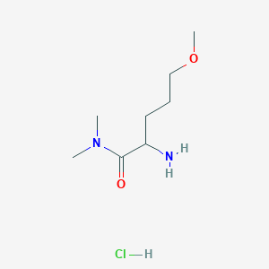 molecular formula C8H19ClN2O2 B2714801 2-氨基-5-甲氧基-N,N-二甲基戊酰胺；盐酸盐 CAS No. 2253639-15-3