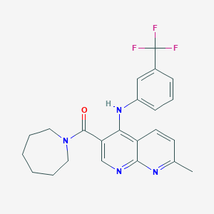 molecular formula C23H23F3N4O B2715884 Azepan-1-yl(7-methyl-4-((3-(trifluoromethyl)phenyl)amino)-1,8-naphthyridin-3-yl)methanone CAS No. 1251543-08-4