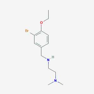 molecular formula C13H21BrN2O B271592 N-(3-bromo-4-ethoxybenzyl)-N-[2-(dimethylamino)ethyl]amine 