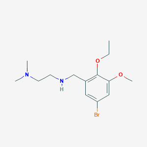 molecular formula C14H23BrN2O2 B271593 N-(5-bromo-2-ethoxy-3-methoxybenzyl)-N-[2-(dimethylamino)ethyl]amine 