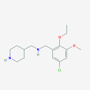 molecular formula C16H25ClN2O2 B271595 N-(5-chloro-2-ethoxy-3-methoxybenzyl)-N-(4-piperidinylmethyl)amine 