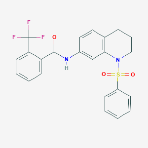 molecular formula C23H19F3N2O3S B2716446 N-(1-(phenylsulfonyl)-1,2,3,4-tetrahydroquinolin-7-yl)-2-(trifluoromethyl)benzamide CAS No. 1005299-21-7