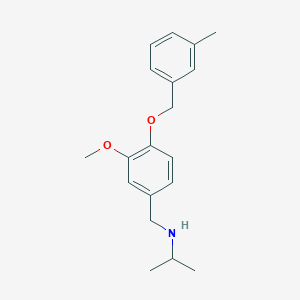 molecular formula C19H25NO2 B271656 N-isopropyl-N-{3-methoxy-4-[(3-methylbenzyl)oxy]benzyl}amine 
