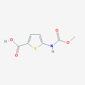 molecular formula C7H7NO4S B2716674 5-[(甲氧羰基)氨基]噻吩-2-甲酸 CAS No. 1155571-96-2