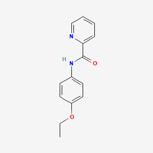 molecular formula C14H14N2O2 B2717580 N-(4-乙氧苯基)吡啶甲酰胺 CAS No. 14888-39-2