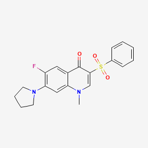 6-fluoro-1-methyl-3-(phenylsulfonyl)-7-(pyrrolidin-1-yl)quinolin-4(1H)-one