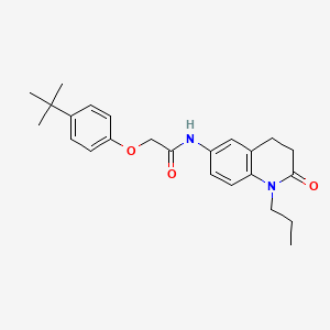 2-(4-(tert-butyl)phenoxy)-N-(2-oxo-1-propyl-1,2,3,4-tetrahydroquinolin-6-yl)acetamide