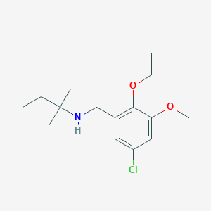 molecular formula C15H24ClNO2 B271900 N-(5-chloro-2-ethoxy-3-methoxybenzyl)-N-(tert-pentyl)amine 