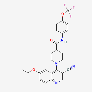 1-(3-cyano-6-ethoxyquinolin-4-yl)-N-[4-(trifluoromethoxy)phenyl]piperidine-4-carboxamide