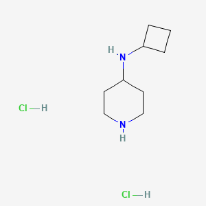 molecular formula C9H20Cl2N2 B2719442 N-Cyclobutylpiperidin-4-amine dihydrochloride CAS No. 928767-56-0