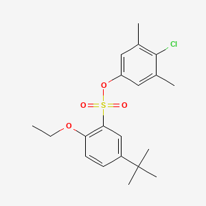 molecular formula C20H25ClO4S B2719532 4-Chloro-3,5-dimethylphenyl 5-tert-butyl-2-ethoxybenzene-1-sulfonate CAS No. 2415622-35-2