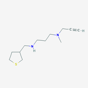 molecular formula C12H22N2S B2720986 {3-[Methyl(prop-2-yn-1-yl)amino]propyl}[(thiolan-3-yl)methyl]amine CAS No. 1851510-74-1