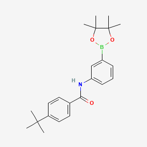 Benzamide, 4-(1,1-dimethylethyl)-N-[3-(4,4,5,5-tetramethyl-1,3,2-dioxaborolan-2-yl)phenyl]-