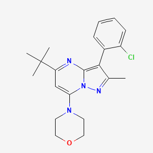 B2721645 4-(5-(Tert-butyl)-3-(2-chlorophenyl)-2-methylpyrazolo[1,5-a]pyrimidin-7-yl)morpholine CAS No. 902048-99-1