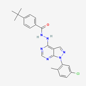 molecular formula C23H23ClN6O B2722758 4-tert-butyl-N'-[1-(5-chloro-2-methylphenyl)-1H-pyrazolo[3,4-d]pyrimidin-4-yl]benzohydrazide CAS No. 881083-01-8