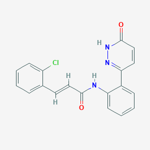 molecular formula C19H14ClN3O2 B2722861 (E)-3-(2-chlorophenyl)-N-(2-(6-oxo-1,6-dihydropyridazin-3-yl)phenyl)acrylamide CAS No. 1448140-92-8