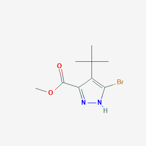 Methyl 5-bromo-4-tert-butyl-1H-pyrazole-3-carboxylate