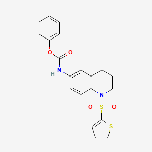 phenyl N-[1-(thiophene-2-sulfonyl)-1,2,3,4-tetrahydroquinolin-6-yl]carbamate